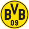 Bvb09 mini