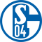 S04 mini