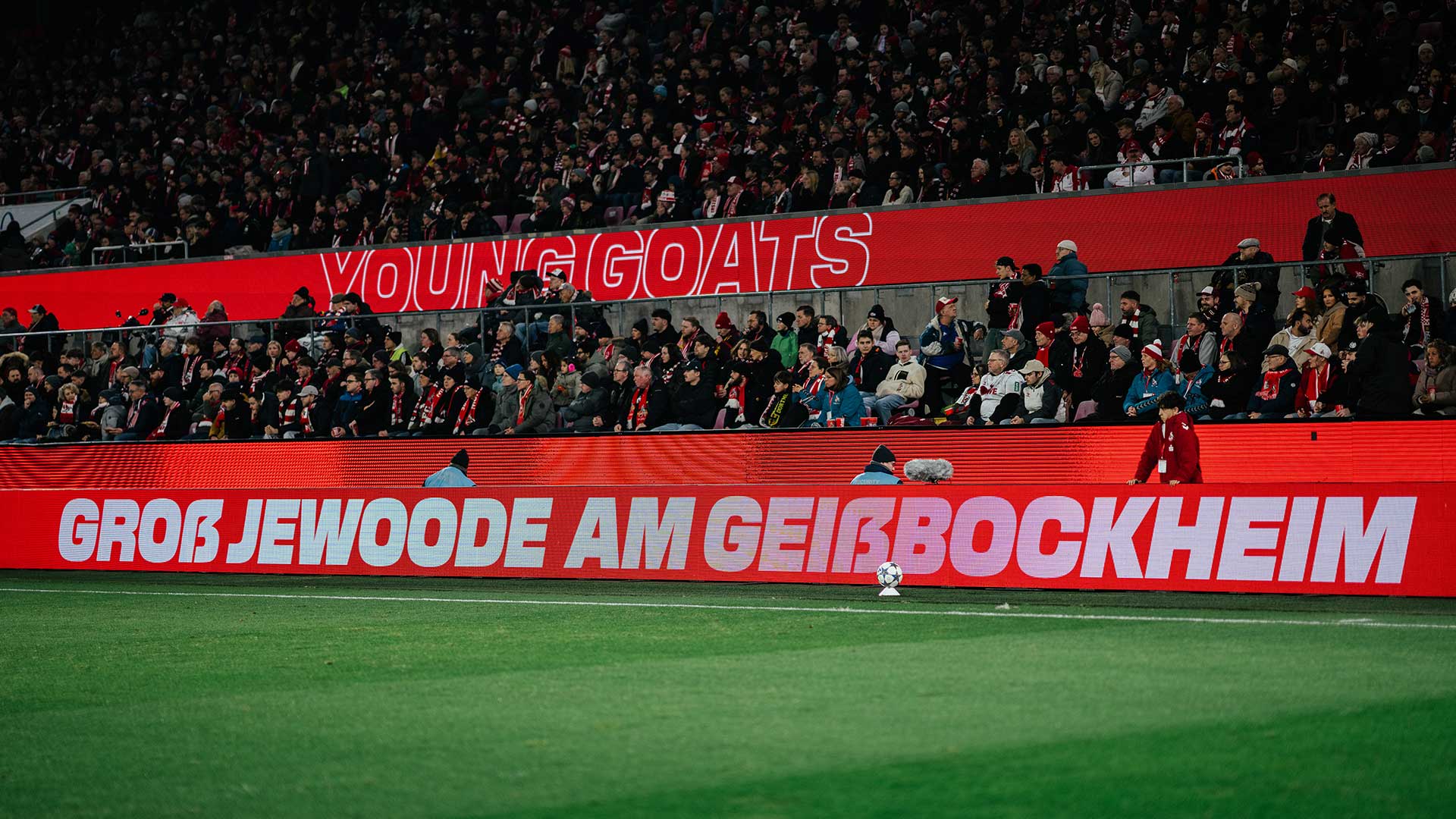 Stadiontalk 1fckoeln